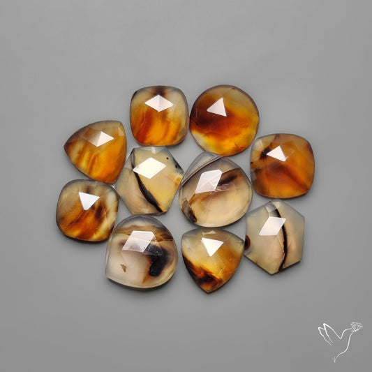 Rose Cut Montana Agates Lot