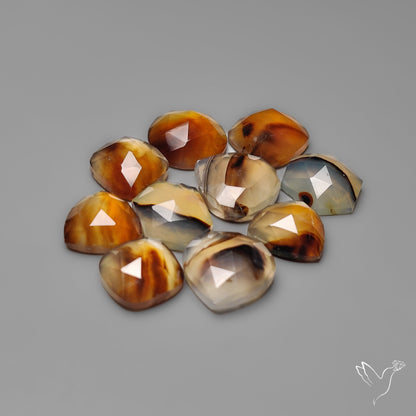 Rose Cut Montana Agates Lot