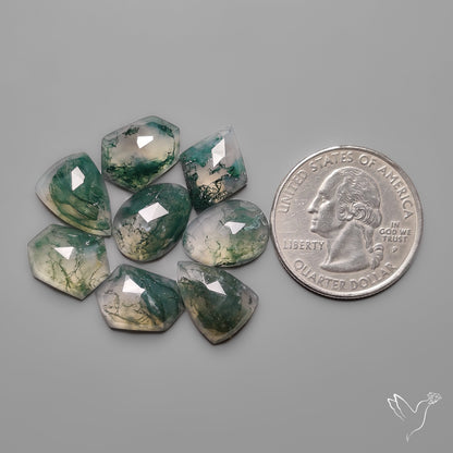 Rose Cut Moss Agates Lot