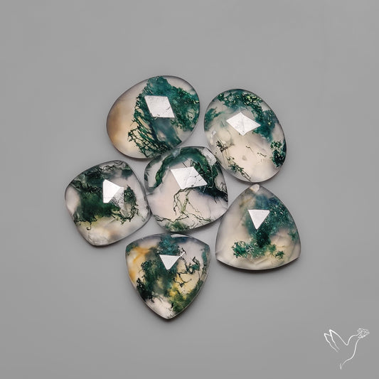Rose Cut Moss Agates Lot