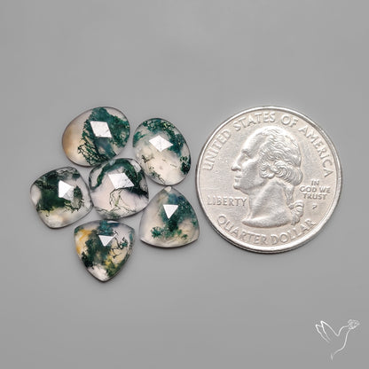Rose Cut Moss Agates Lot