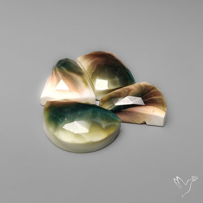 Rose Cut Shiva Eye Shells Lot