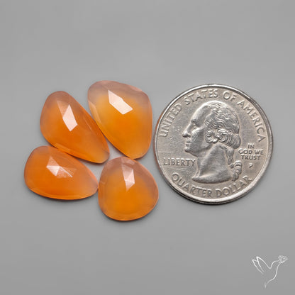 Rose Cut Persimmon Carnelian Agates Lot