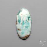 Caribbean Calcite With Aragonite Cabochon