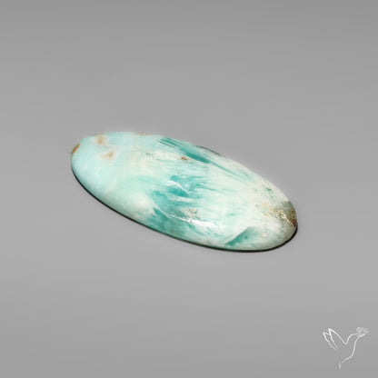 Caribbean Calcite With Aragonite Cabochon