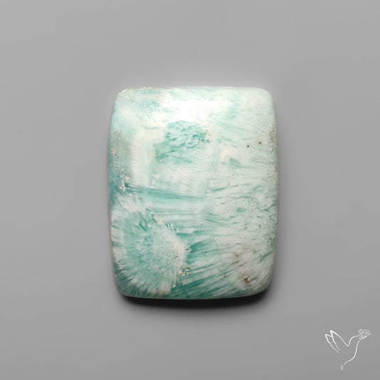 Caribbean Calcite With Aragonite Cabochon