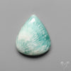 Caribbean Calcite With Aragonite Cabochon