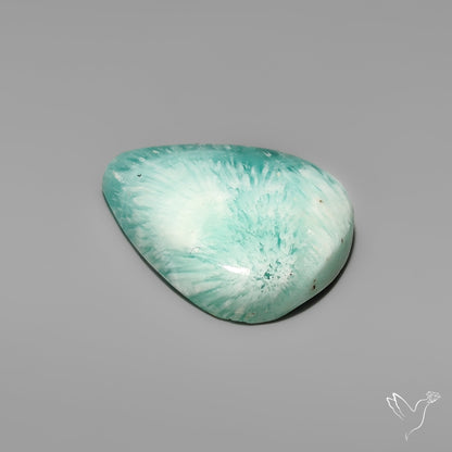 Caribbean Calcite With Aragonite Cabochon