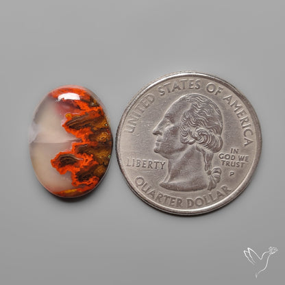 Moroccan Seam Agate Cabochon