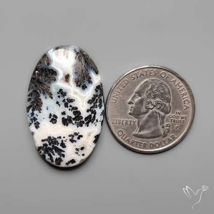 Dendritic Parallel Agate Cabochon