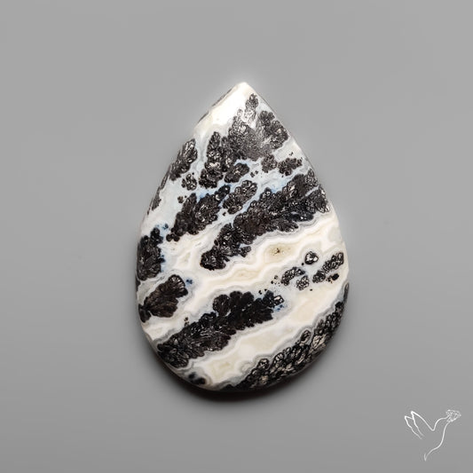 Dendritic Parallel Agate Cabochon