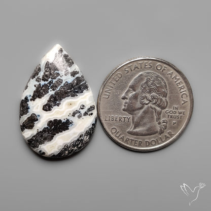 Dendritic Parallel Agate Cabochon