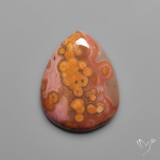 Orbicular Ocean Jasper Cabochon