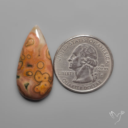 Orbicular Ocean Jasper Cabochon