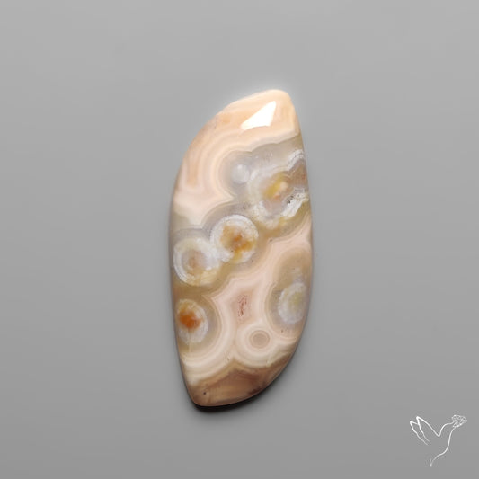 Orbicular Ocean Jasper Cabochon