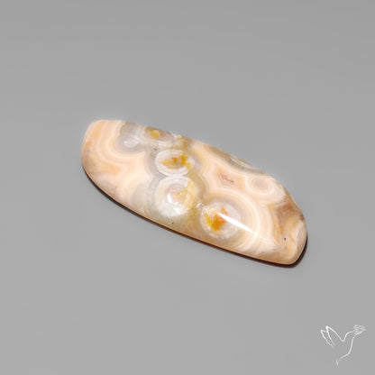Orbicular Ocean Jasper Cabochon