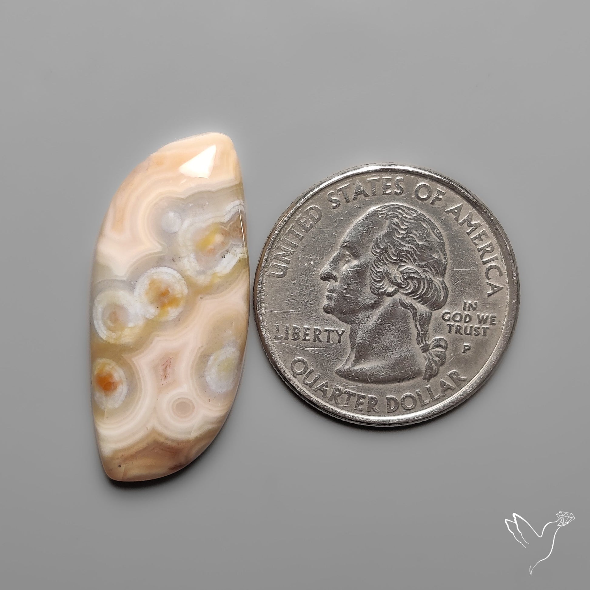 Orbicular Ocean Jasper Cabochon