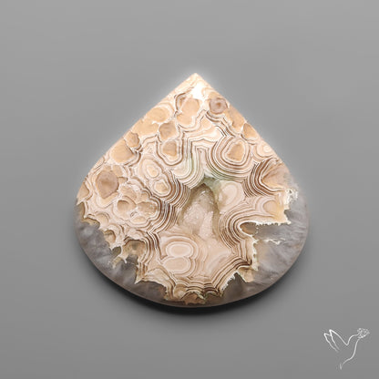 Crazylace Agate With Pocket Druzy