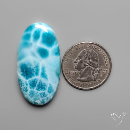 AAA Top Grade Larimar Cabochon