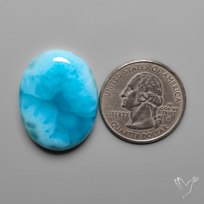 AAA Top Grade Larimar Cabochon