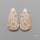 Fossil Corals Pair