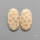 Fossil Corals Pair