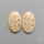 Fossil Corals Pair