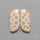 Fossil Corals Pair
