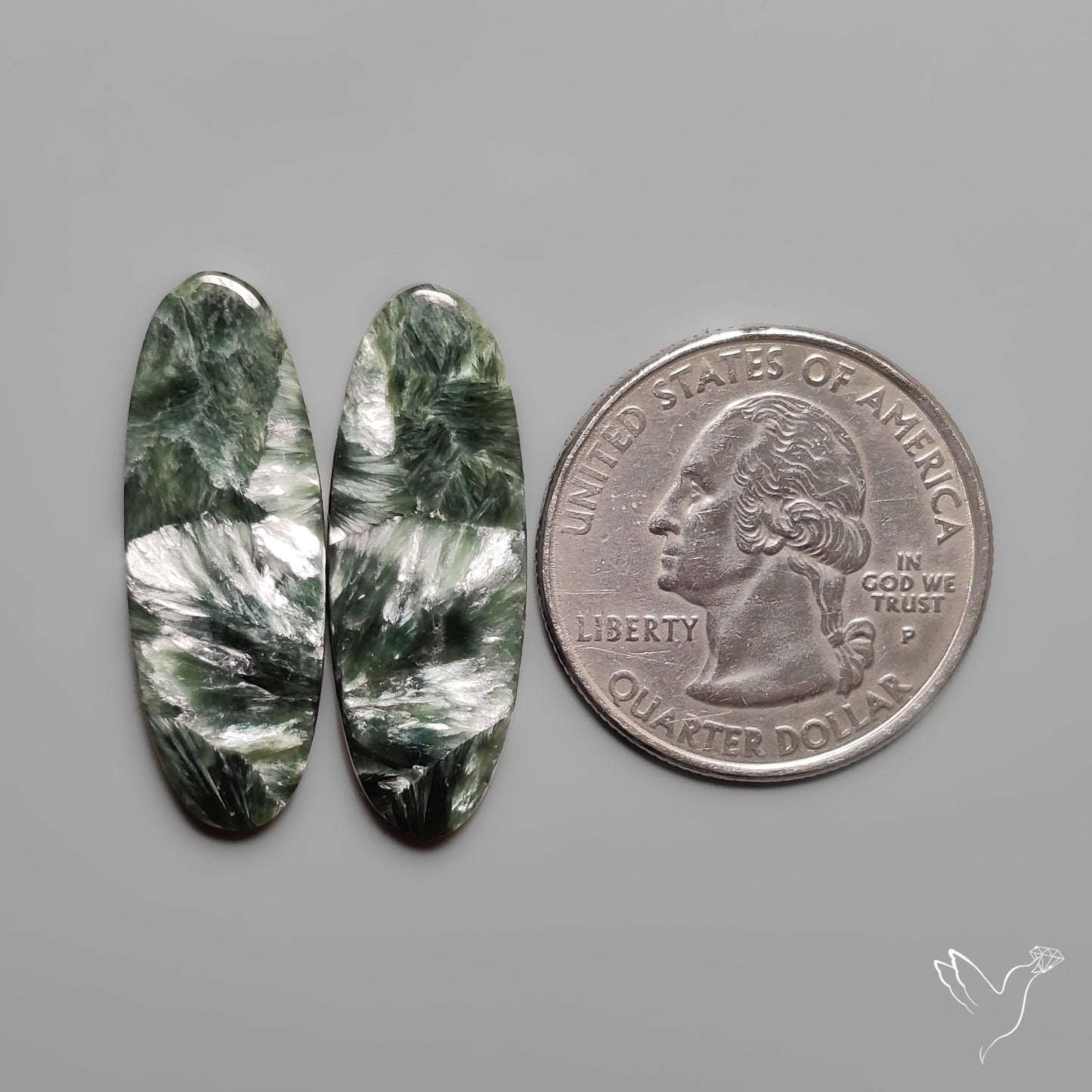 Seraphinites Pair