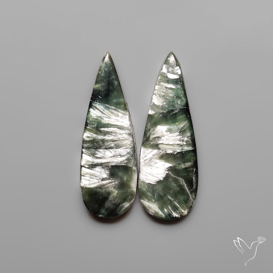 Seraphinites Pair