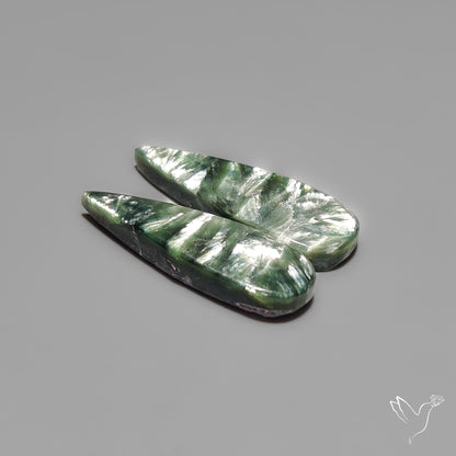Seraphinites Pair