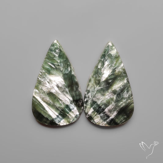 Seraphinites Pair