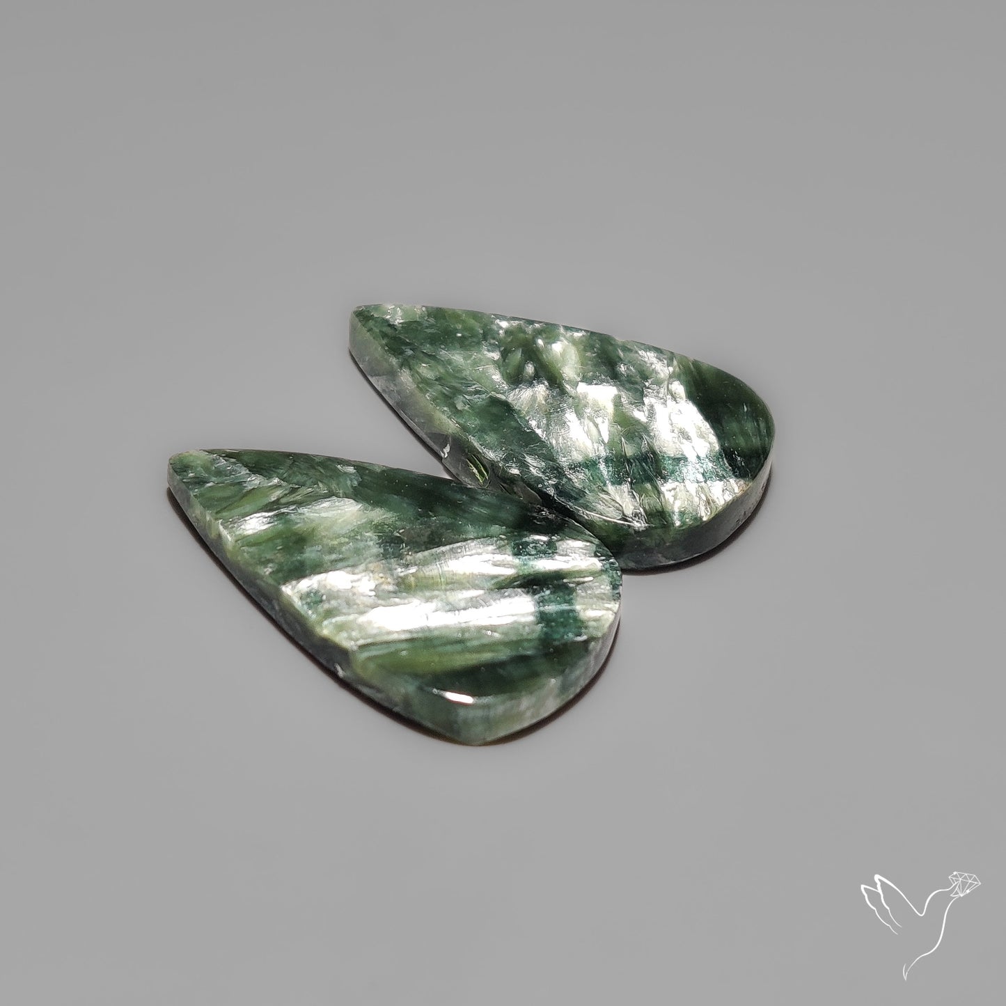 Seraphinites Pair