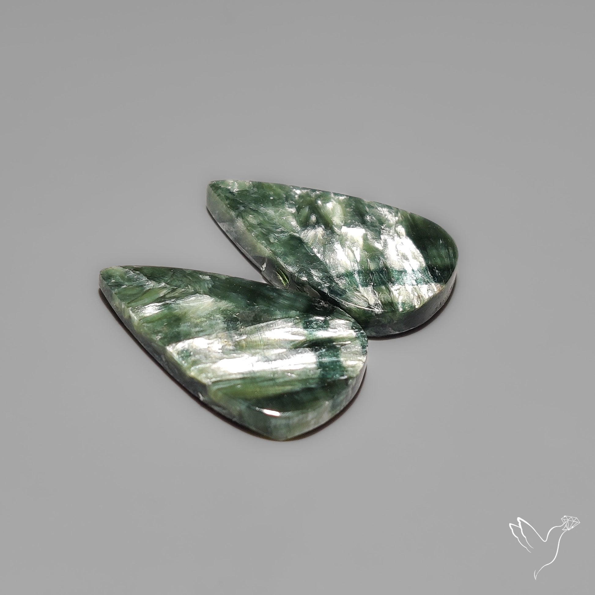 Seraphinites Pair