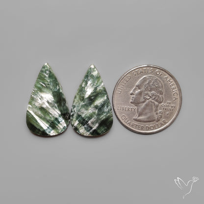 Seraphinites Pair