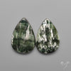 Seraphinites Pair