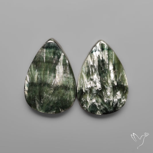 Seraphinites Pair