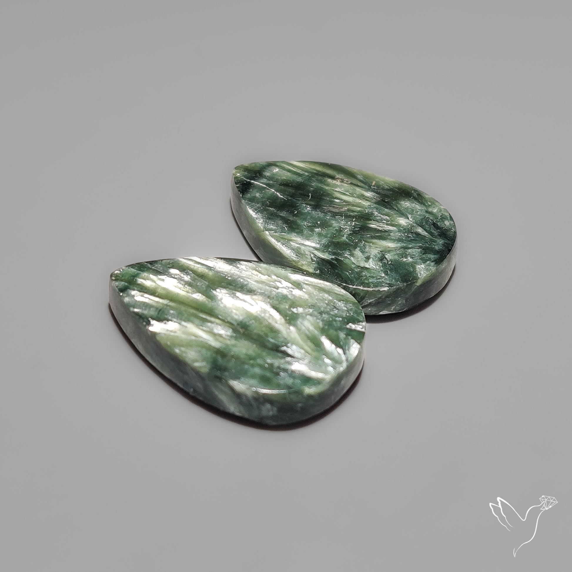 Seraphinites Pair