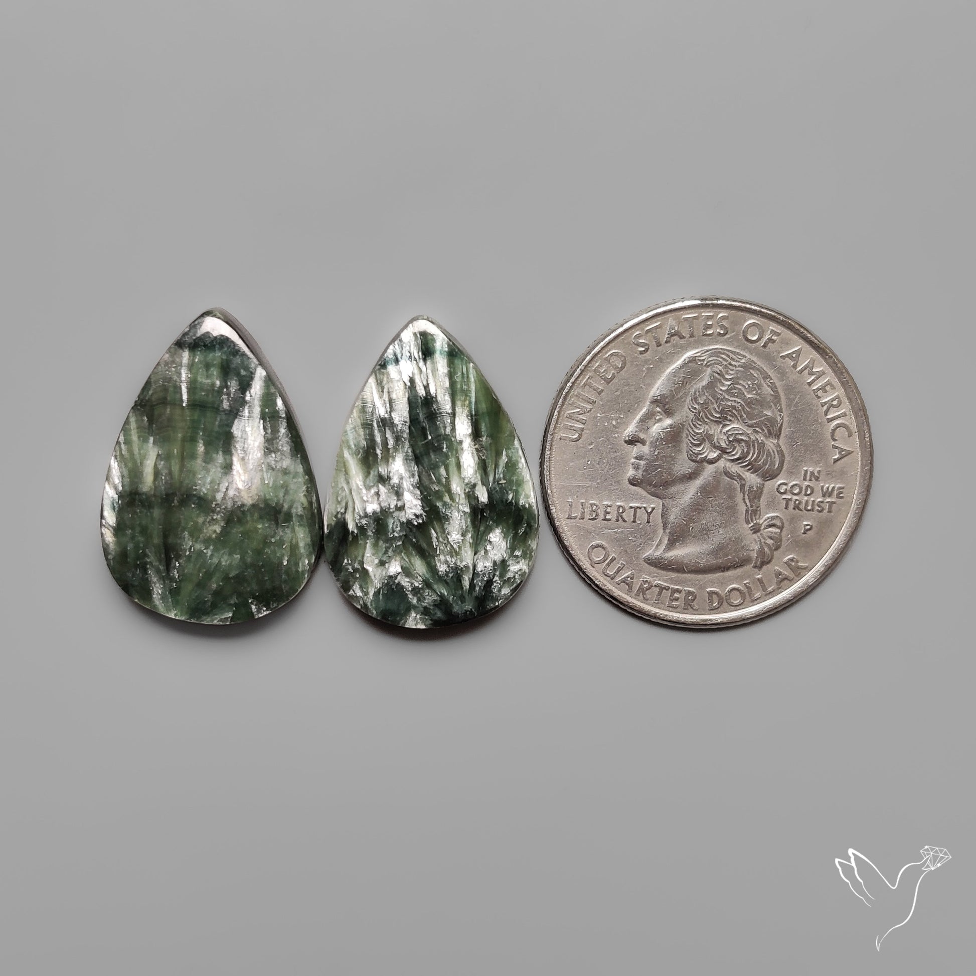 Seraphinites Pair