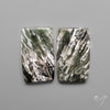 Seraphinites Pair