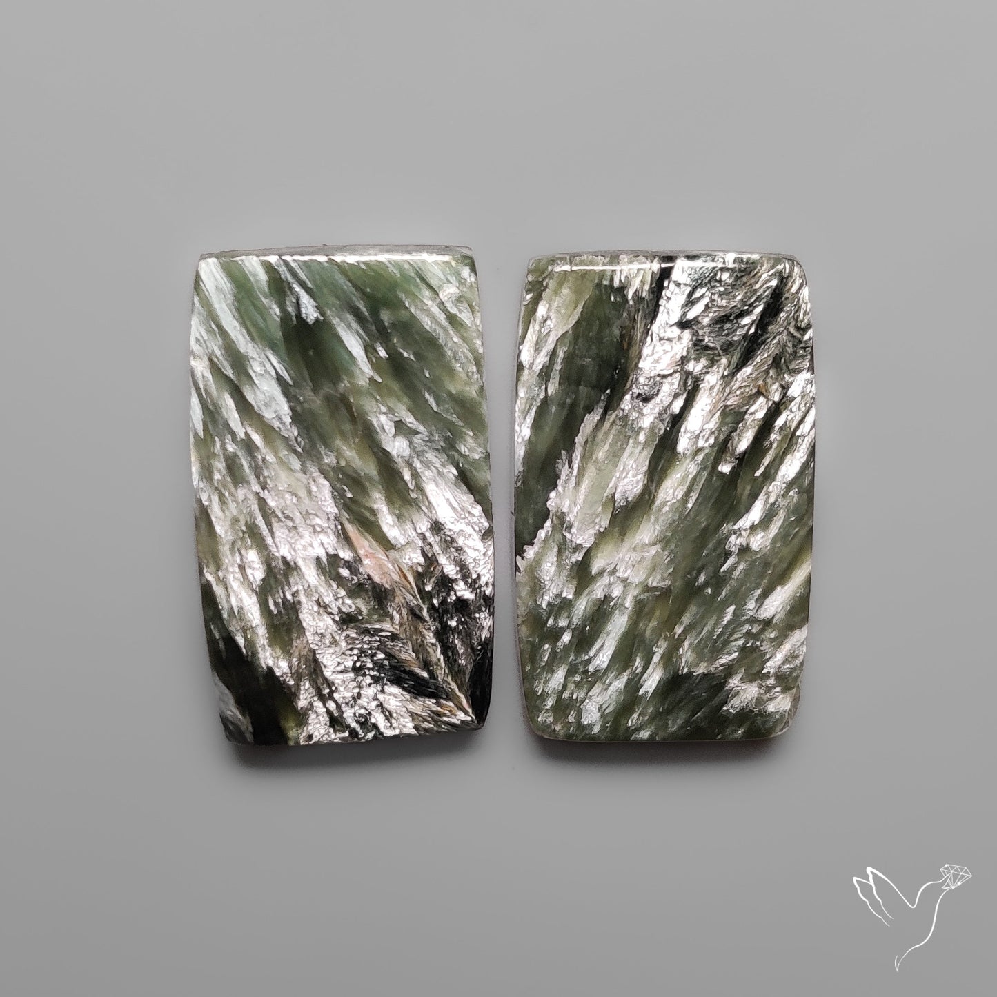 Seraphinites Pair