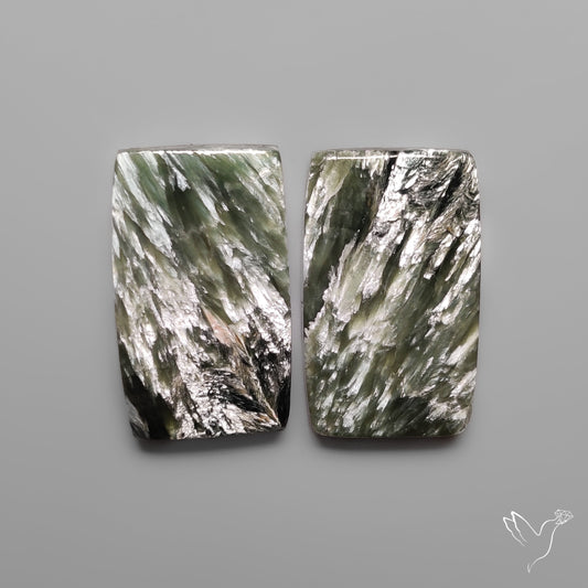 Seraphinites Pair