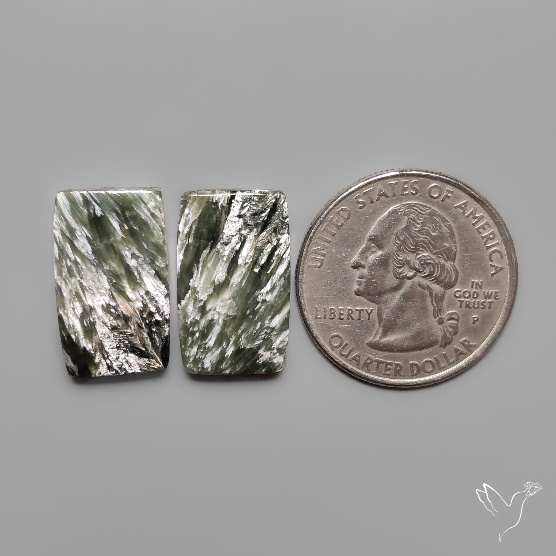 Seraphinites Pair