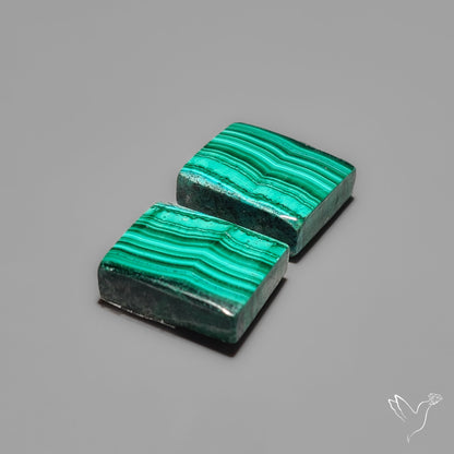 Malachites Pair