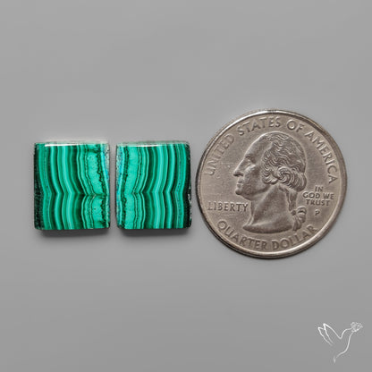Malachites Pair