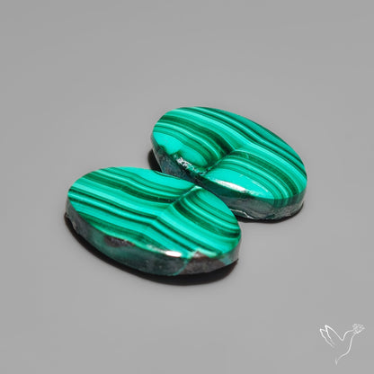Malachites Pair