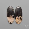 Indonesian Palmroot Agates Pair