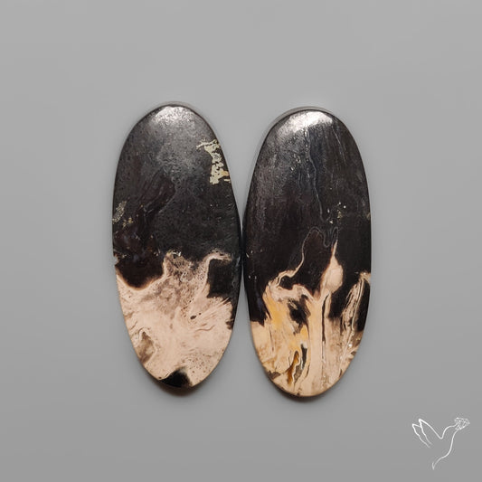 Indonesian Palmroot Agates Pair