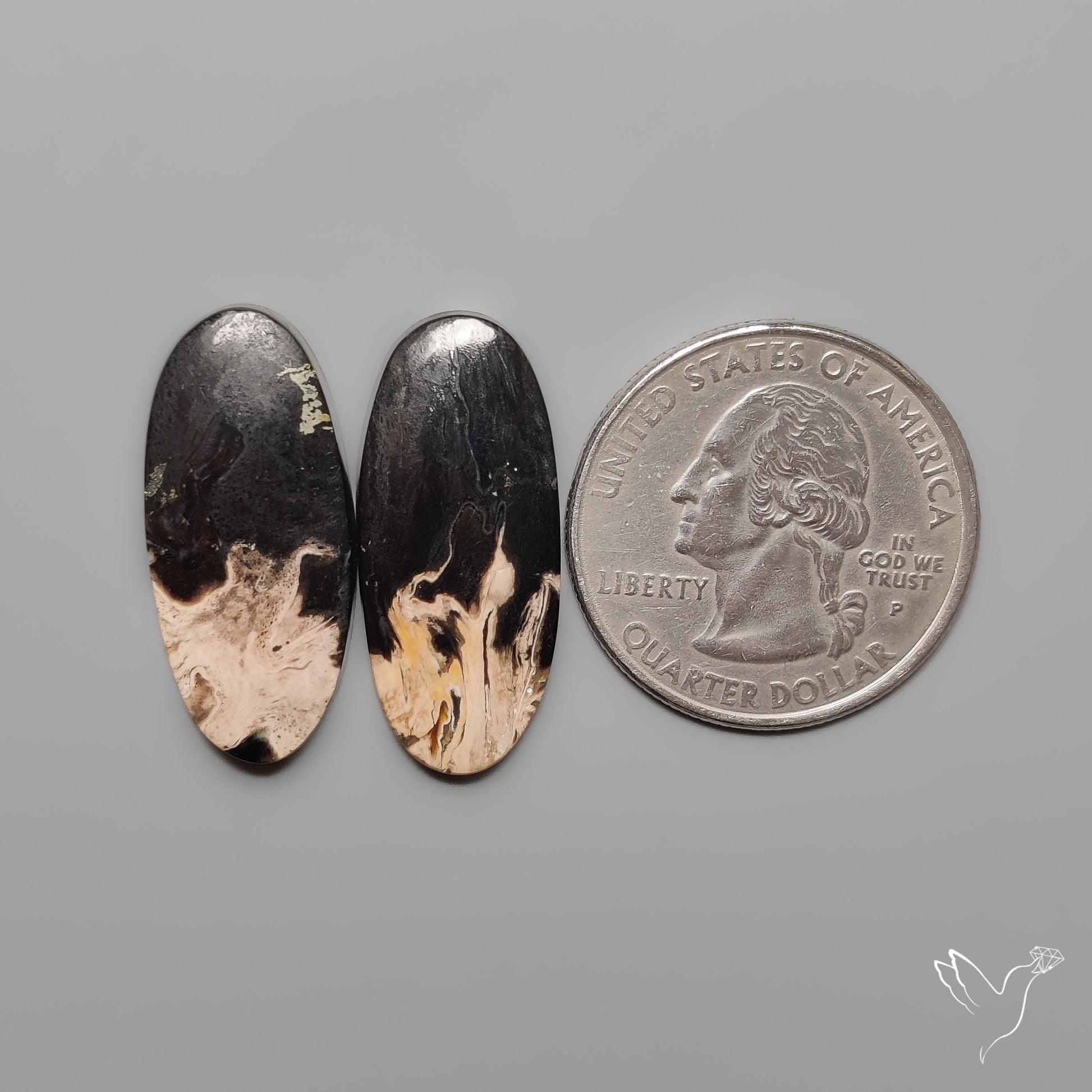 Indonesian Palmroot Agates Pair