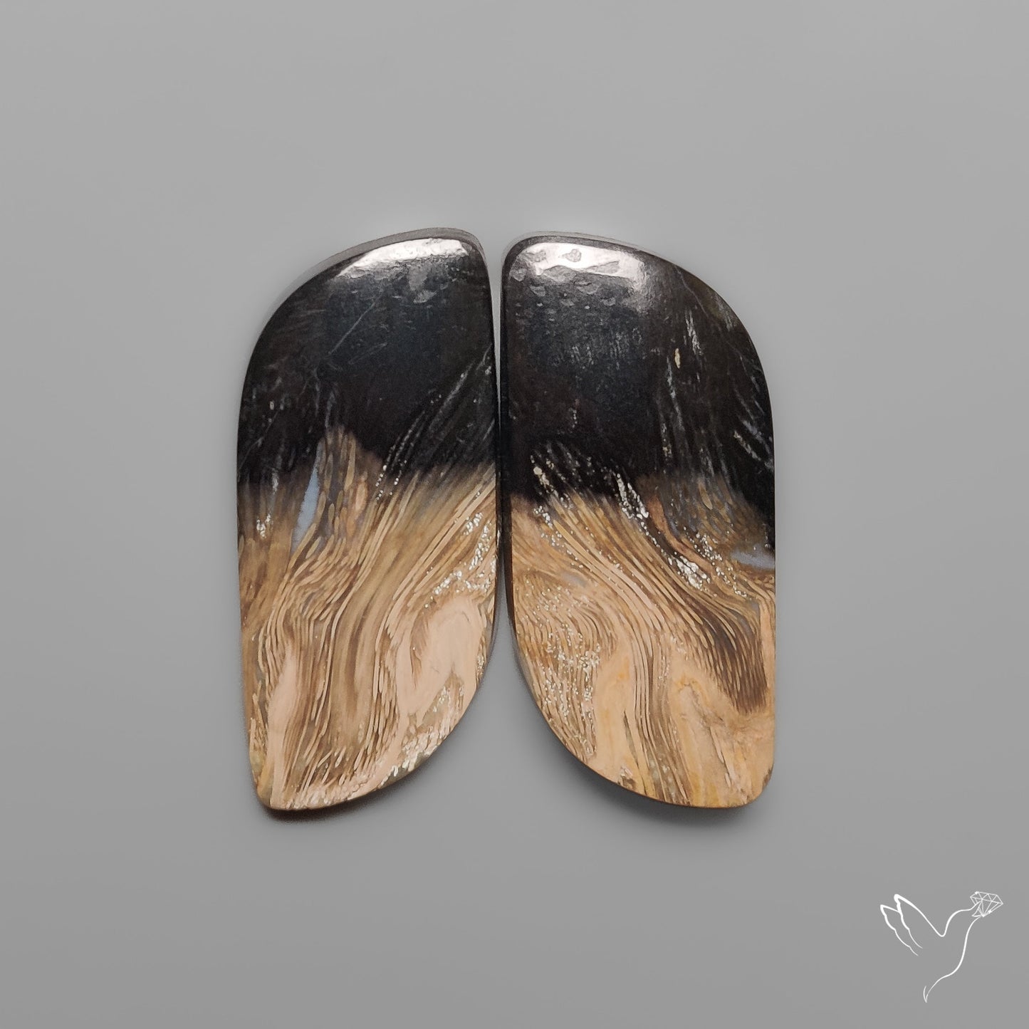 Indonesian Palmroot Agates Pair